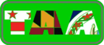 Tactical Airsoft Arena logo