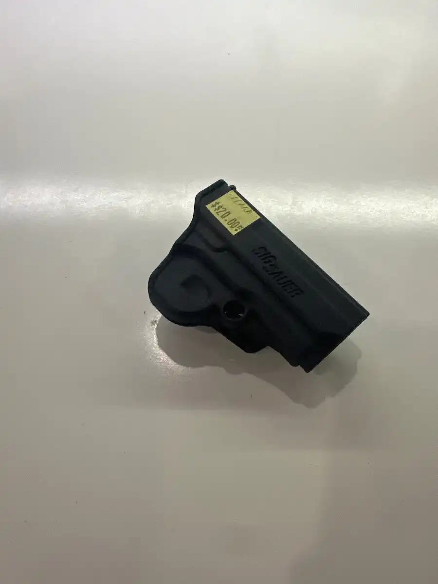 Sig sauer holster