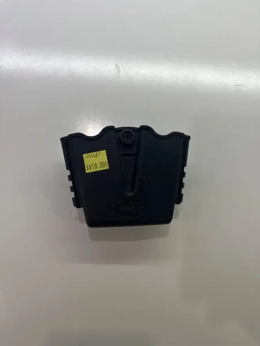 Dual pistol mag holster