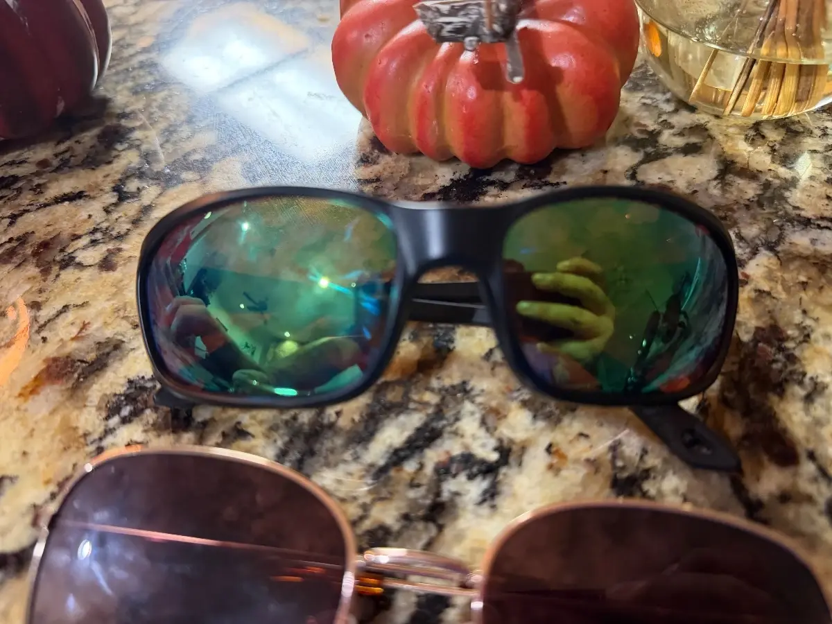 WTS/WTT Sunglasses