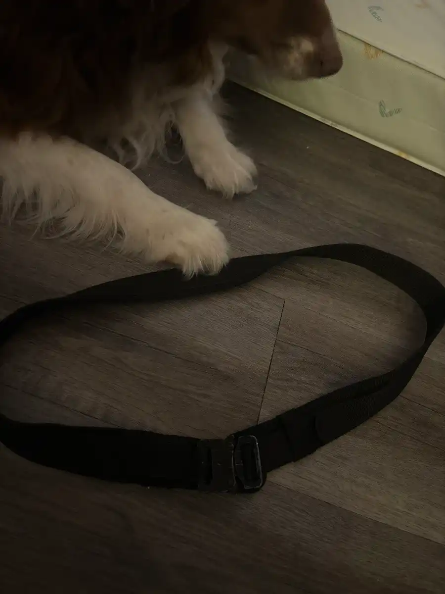 5.11 belt